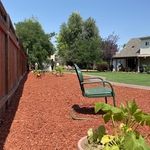 New back yard