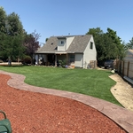 New back yard