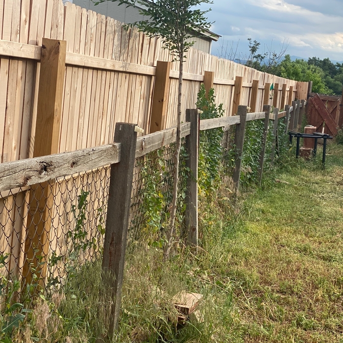 Old fence to be removed