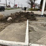 Landscaping Project