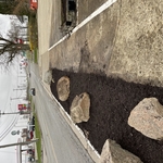 Landscaping Project