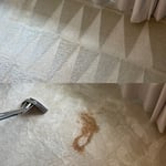You can see where something was previously spilled on the carpet (bottom pic) and the top portion of the picture is after the stain removal!