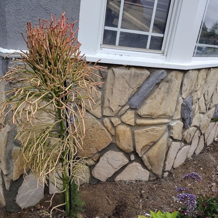 Masonry Project