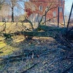 Emergency tree removal from storm damage