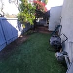Leaf Removal Project