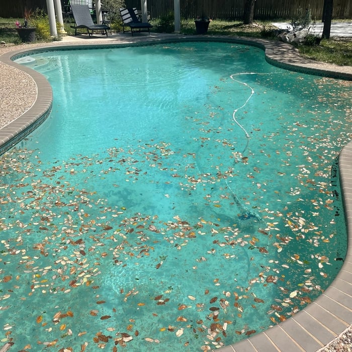 Before Cleaning