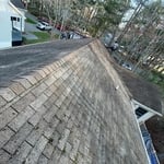 Roofing Project