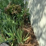 Landscaping Project