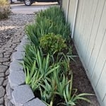 Landscaping Project