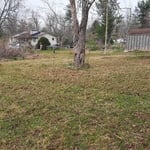 Land Clearing