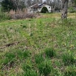 Land Clearing