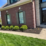 Front Bed