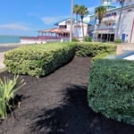 Landscaping Project