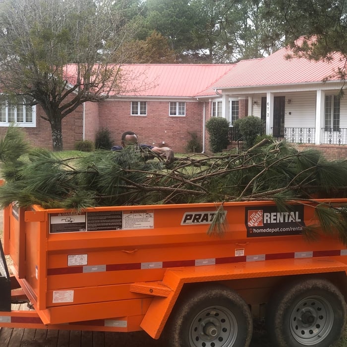 Tree Service