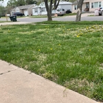 Side walk edge trim down