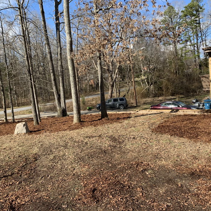Additional Photos