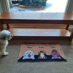 Oak bench