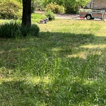Yard service
