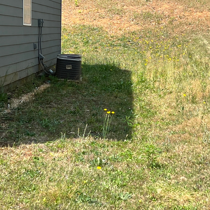 Yard service