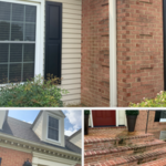Concrete patio' steps and trex deck soft chemical clean