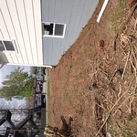 Property clean up