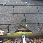 Damaged shingles