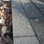 Repaired shingles