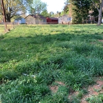 First cut of the spring season BEFORE