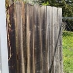 Fence before