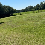 Yard work and maintenance