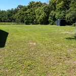 Yard work and maintenance
