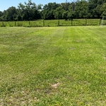 Yard work and maintenance