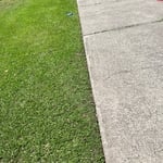 Yard work and maintenance
