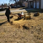 Landscaping Project