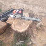 Landscaping Project
