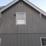 Painting & trim