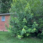 View of deck from outside