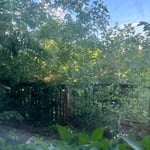 View of deck from inside the house
