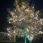 Christmas lights