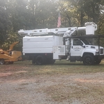 Tree Services