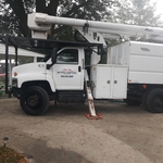 Tree Services