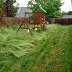 Lawn and Yard Work Project