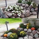 Seasonal planting bed designs that will leave a striking impression.