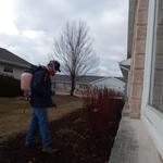 Pre-emergent pre-emergent application, early spring.