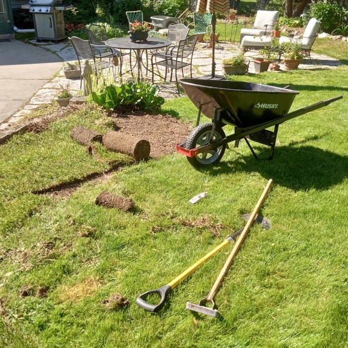 The entire planting bed was weeded, large roots and stumps were removed, the soil was amended and tilled, and sod was laid.