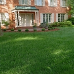 Boxwood Walkway