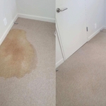 Carpet cleaning