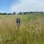 Lawn and Yard Work Project