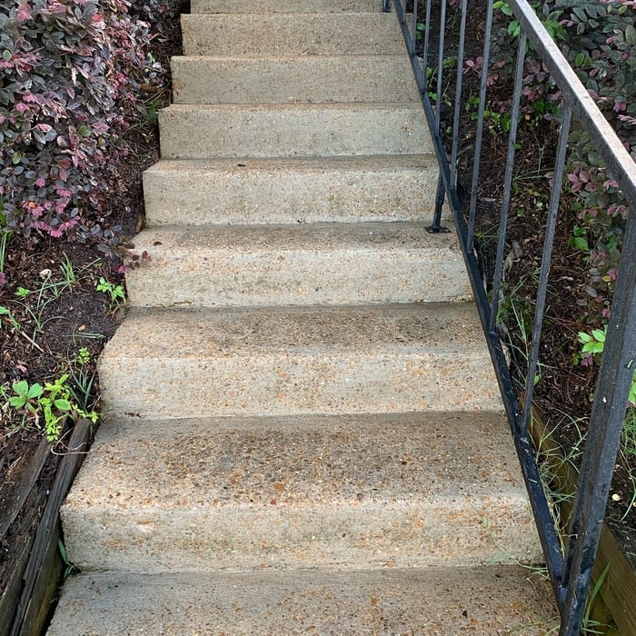 Pressure Washing Project
