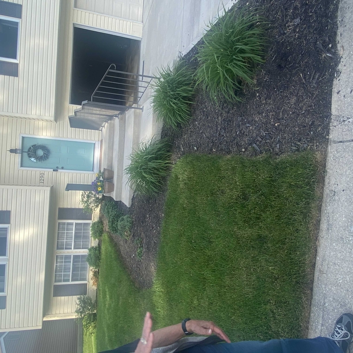 Landscaping Project